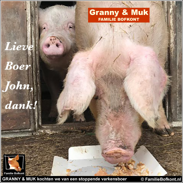 GRANNY & MUK kochten we van een stoppende varkensboer