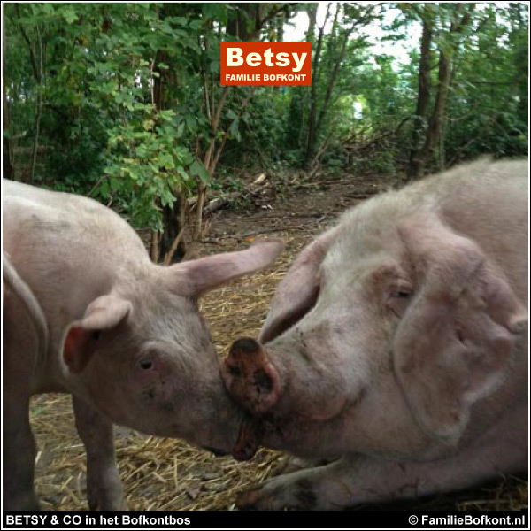 BETSY & BIGGEN - 1 mei 2014