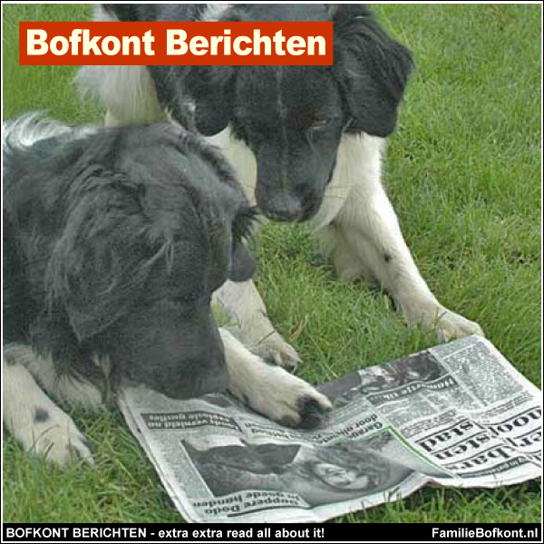 BOFKONT BERICHTEN - extra extra read all about it!