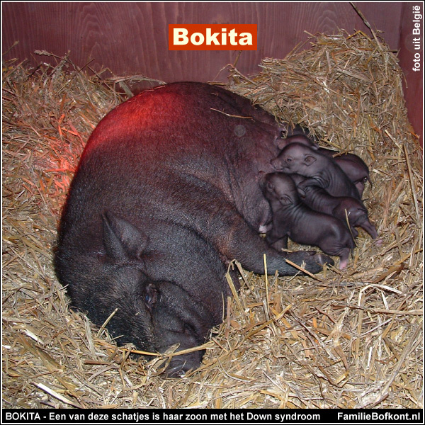 BOKITA - Een van deze schatjes is haar zoon met het Down syndroom - foto uit België
