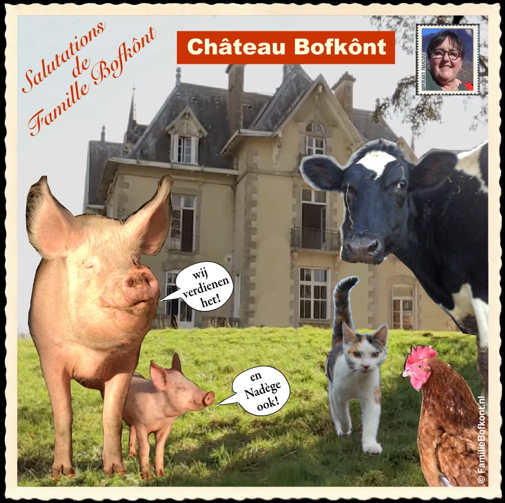 Chateau Bofkont