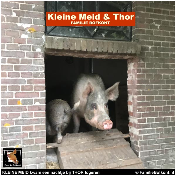 KLEINE MEID kwam een nachtje bij THOR logeren