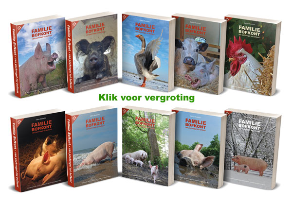 KLIK: https://bofkontboek.nl/10-verschillende-boek-covers.jpg
