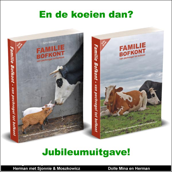 En de koeien dan?