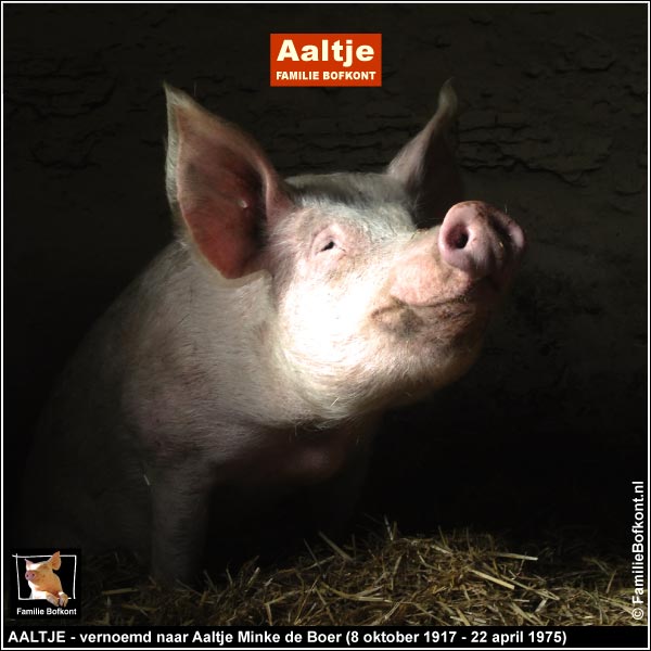 AALTJE - vernoemd naar Aaltje Minke de Boer (8 oktober 1917 - 22 april 1975)