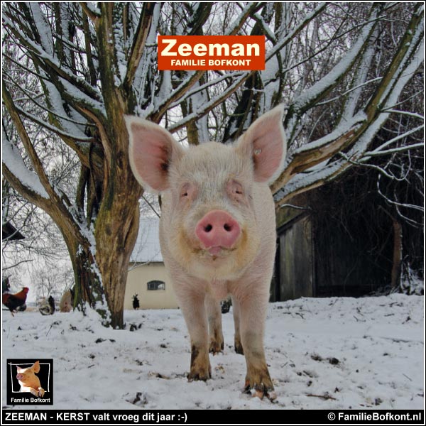 KIJK: https://2020.bfknt.nl/20201022-familie-bofkont-varken-zeeman-wilgenpoort-sneeuw-600.jpg