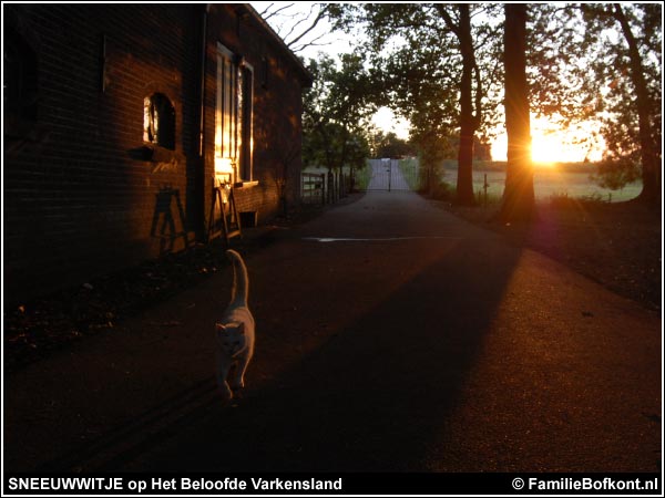 KIJK: https://2020.bfknt.nl/sneeuwwitje-zonsondergang.jpg