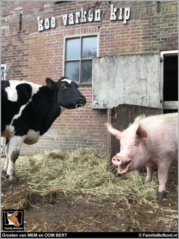 Groeten van MEM en OOM BERT