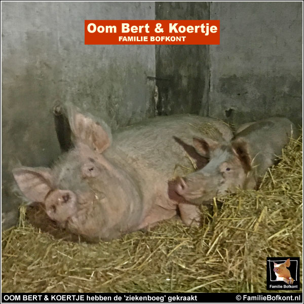 OOM BERT & KOERTJE hebben de 'ziekenboeg' gekraakt