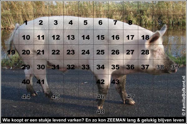 Wie koopt er een stukje levend varken? En zo kon ZEEMAN lang & gelukig blijven leven