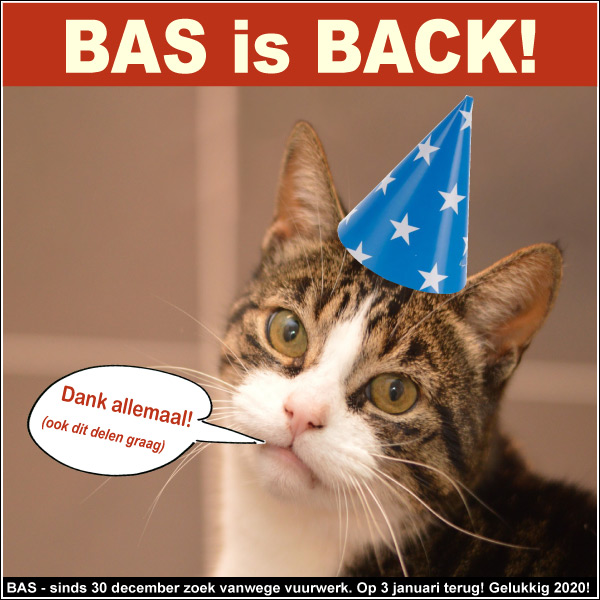 kater Bas is Back!